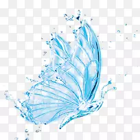 蝴蝶透明半透明水蝴蝶创意