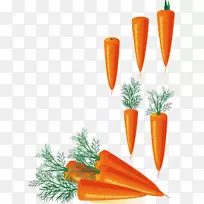 胡萝卜砧木摄影剪贴画创意设计图蔬菜黄色胡萝卜