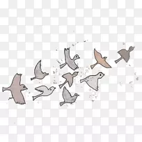 鸟类迁徙水彩画水鸟