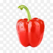 贝尔胡椒素食菜特立尼达莫鲁加蝎子籽红胡椒