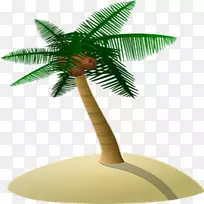 槟榔科椰子树-椰子树岛