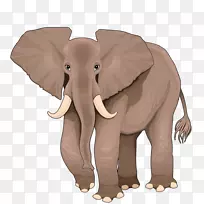 非洲象卡通插图-象