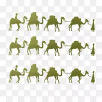 骆驼一带一路首创马海上丝绸之路-骆驼地段