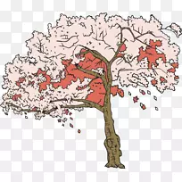樱花树插图-樱桃树