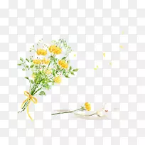 花卉设计插画.菊花花束图形