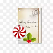 圣诞摄影槲寄生糖果与圣诞明信片背景载体材料