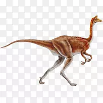 似鸟龙鸟类-白垩纪恐龙
