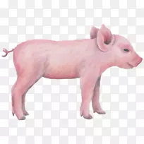 小型猪壁贴纸-粉红猪