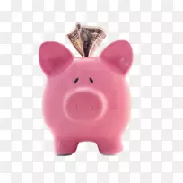 家猪储蓄罐粉红色货币-猪储蓄罐