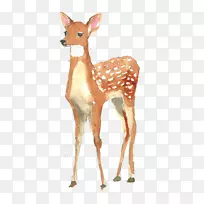画框鹿幼儿园：动物水彩画海报手绘水彩画鹿