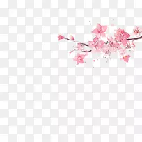 粉红水彩画插图-三月桃花画料