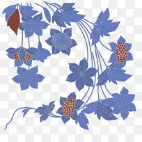 蓝黄叶花紫花叶