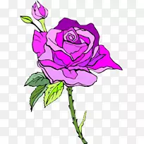 花园玫瑰、蜈蚣玫瑰、月季、沙滩玫瑰、剪贴画-粉红色玫瑰