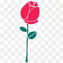海滩玫瑰花瓣-红色浪漫玫瑰