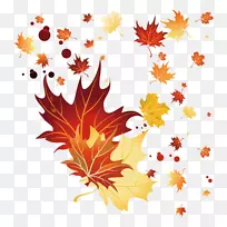 枫叶秋天-秋天，树叶，装饰