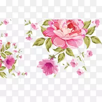 粉红色花朵图案-粉红色玫瑰背景