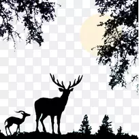 鹿自然野生动物剪贴画-鹿自然风光