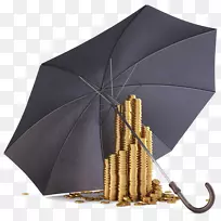 投资银行储蓄定期存款投资者-黄金和伞