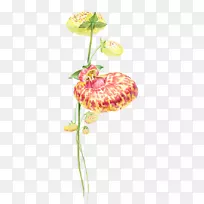 花卉设计师-手绘花包