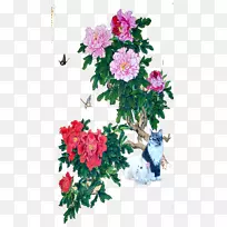 花园玫瑰蜈蚣玫瑰纪念玫瑰牡丹