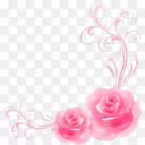 花园玫瑰粉红色海滩玫瑰-玫瑰装饰