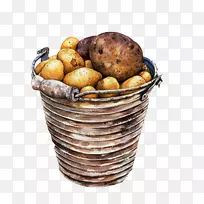 马铃薯蔬菜插画水彩画插图.马铃薯手绘材料图