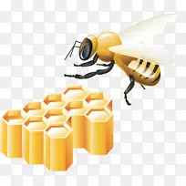 无蜜蜂比特币金币android应用程序包captcha-蜂蜜