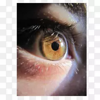 浅人眼虹膜学-明亮的眼睛