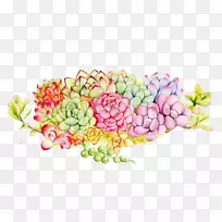 肉质植物花卉设计水彩画.多色花束肉
