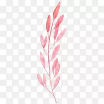水彩画叶粉红画水彩画叶