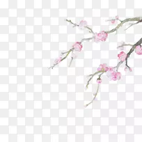 水彩画插图-粉红色桃花手绘花瓣可自由挑选图像