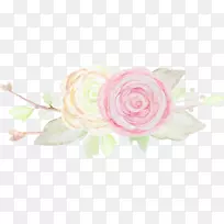花园玫瑰花型粉红色切花花束玫瑰