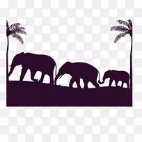 非洲象印度象科-迁徙象科