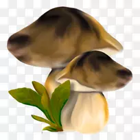 真菌蘑菇幼犬夹艺术-蘑菇