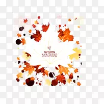 秋天-枫叶平面