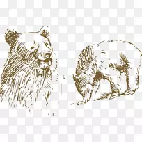 美国老虎黑熊亚洲黑熊画黑熊