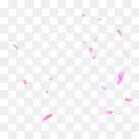 角花瓣图案-美丽的紫色花瓣飘落