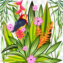 热带鹦鹉热带森林插图.热带植物材料