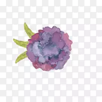 花紫色图标-紫玫瑰