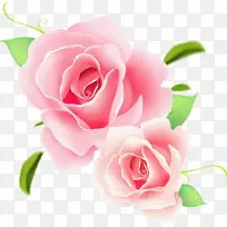 玫瑰花夹艺术-粉红色玫瑰