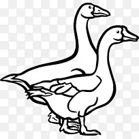 鹅鸭鸟黑白剪贴画画鸭