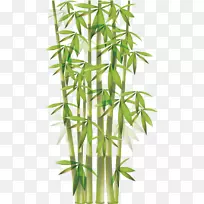 竹子剪贴画.竹材