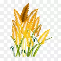 作物图标-小麦