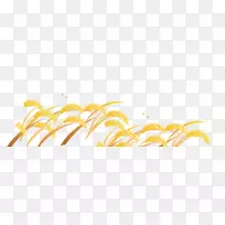 黄色花瓣字体-小麦