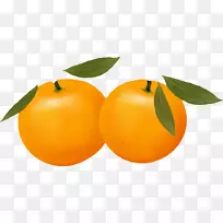 不含橙子含量的柑橘xc3u2014柑桔剪贴画-桔子