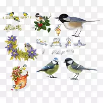 鸟类剪贴画-鸟类收藏创意PNG