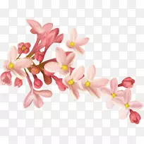 剪贴画.手绘花粉红桃枝