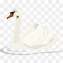 雪尼尼鸭动画剪贴画-白天鹅