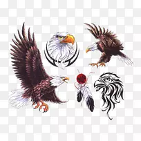 新西兰纹身工作室鹰