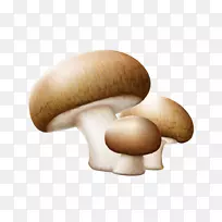 普通食用菌剪贴画.三种蘑菇